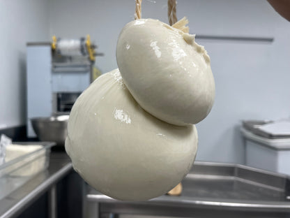 Caciocavallo