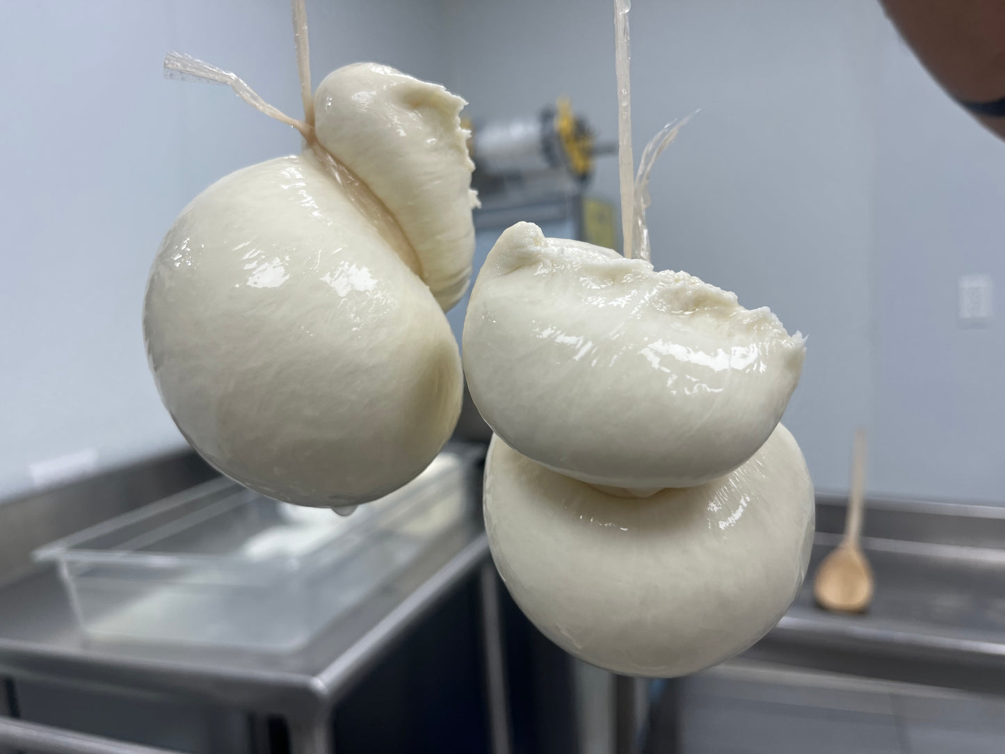 Scamorza